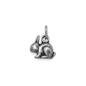 Oxidized 3D "Extra Hoppy!" Bunny Charm